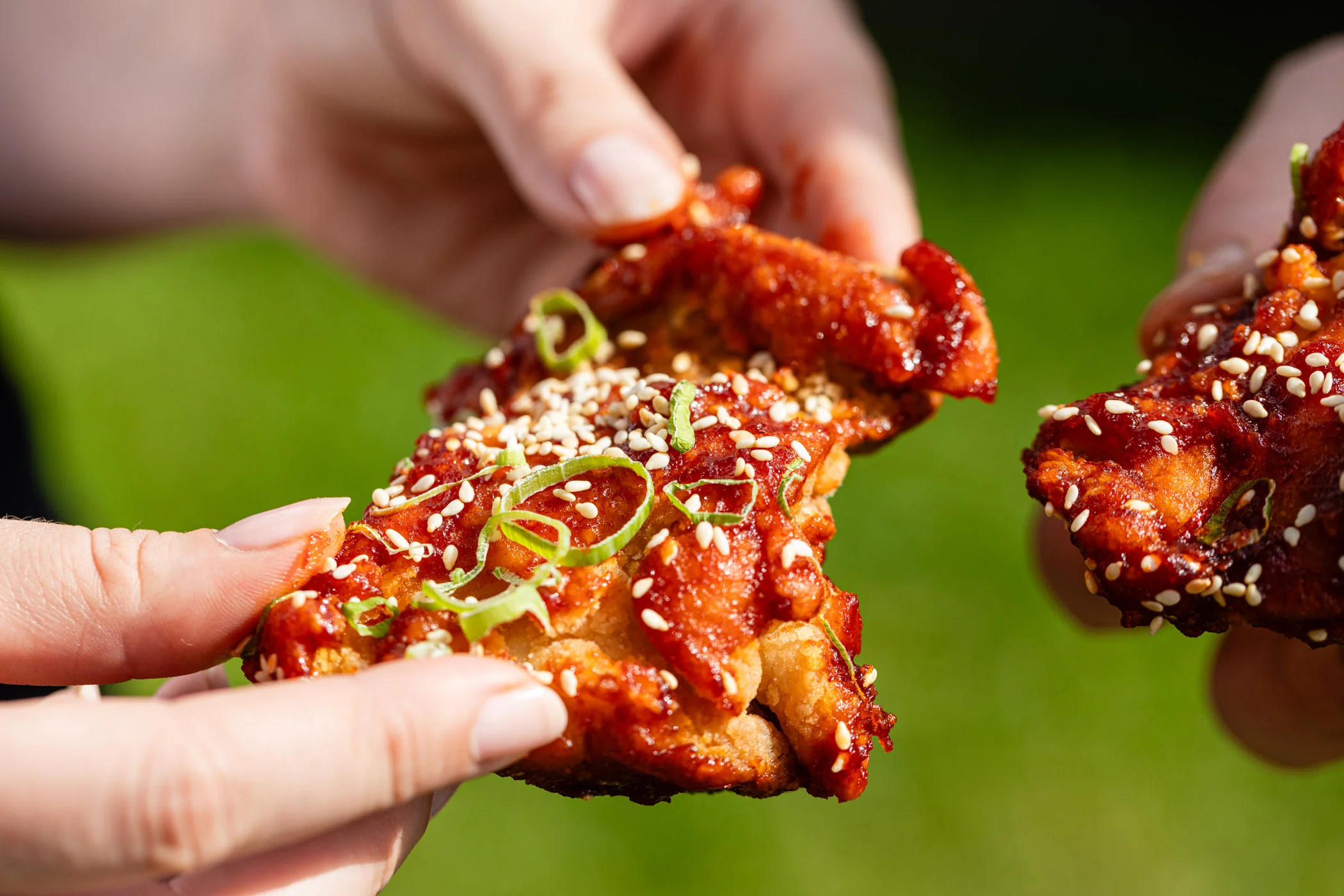 Chicken Thighs, Boneless Skin-On - Image 6